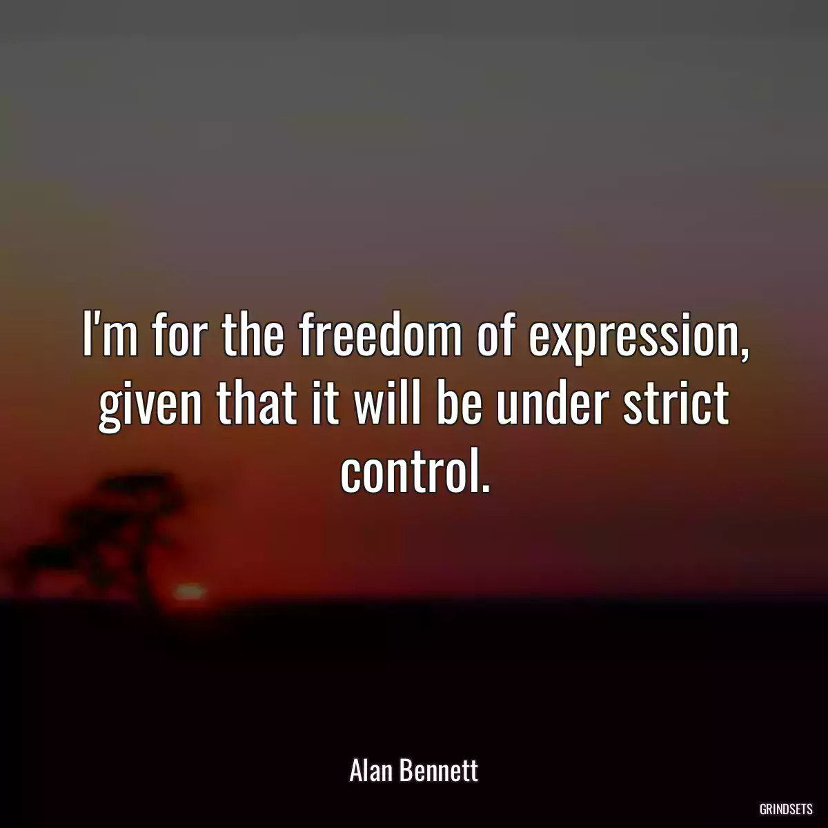 I\'m for the freedom of expression, given that it will be under strict control.