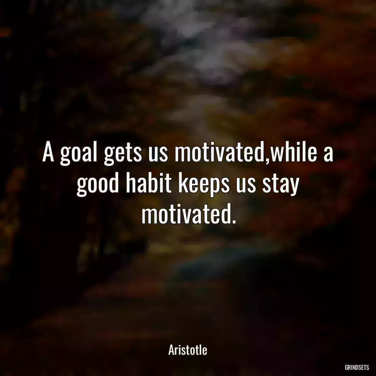 A goal gets us motivated,while a good habit keeps us stay motivated.