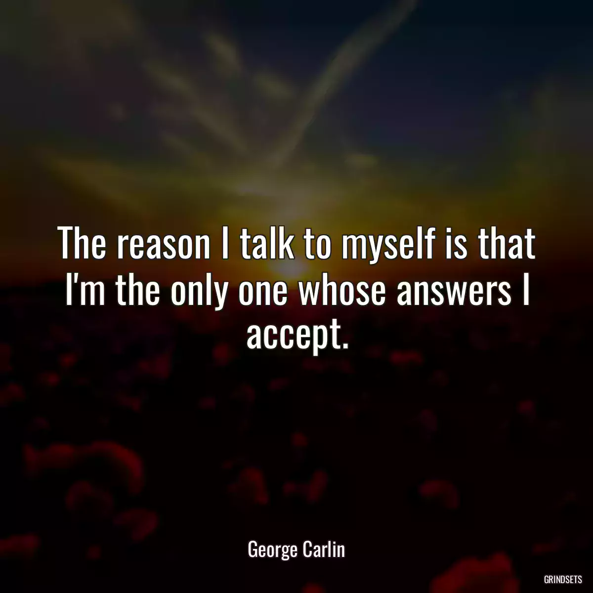 The reason I talk to myself is that I\'m the only one whose answers I accept.