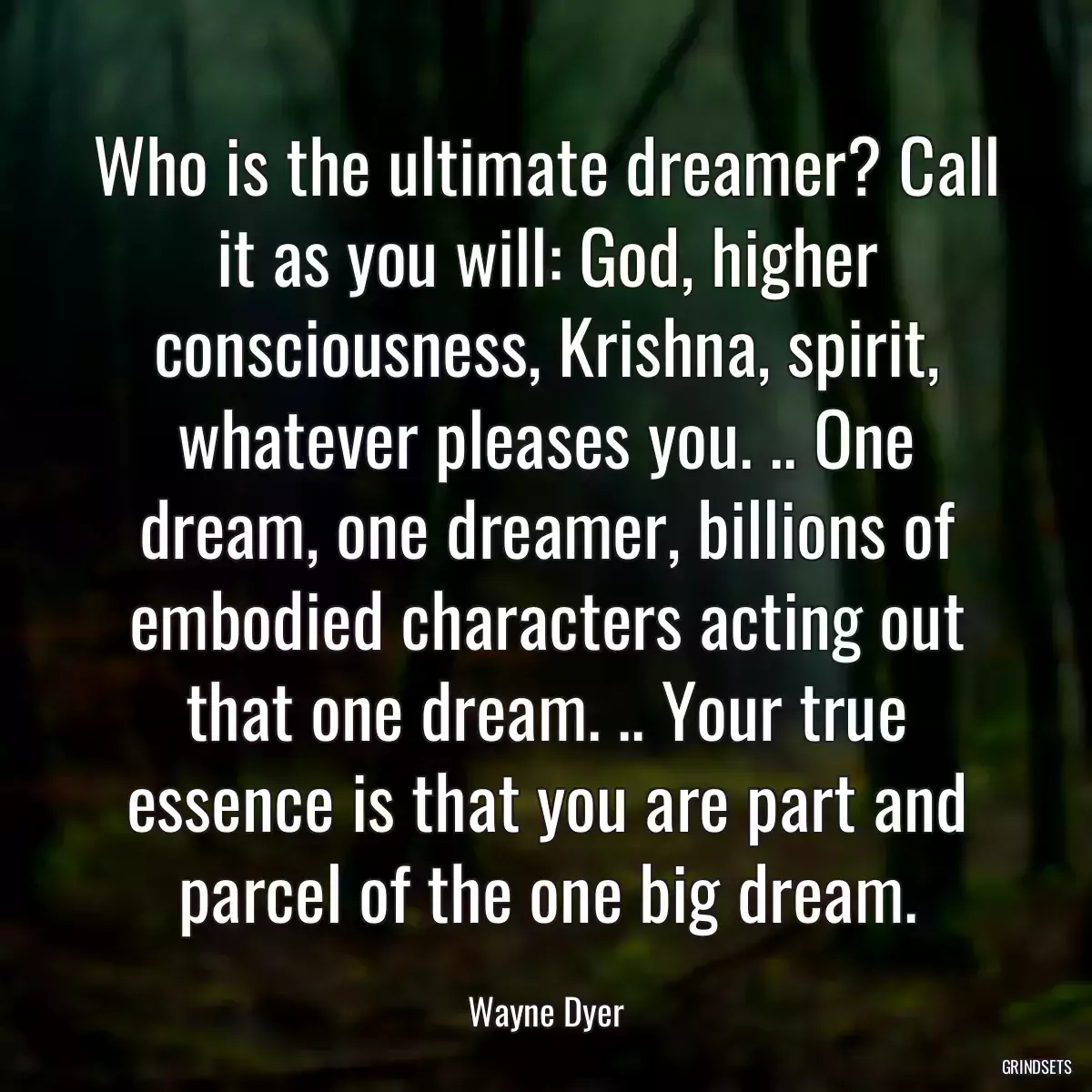 Who is the ultimate dreamer? Call it as you will: God, higher consciousness, Krishna, spirit, whatever pleases you. .. One dream, one dreamer, billions of embodied characters acting out that one dream. .. Your true essence is that you are part and parcel of the one big dream.