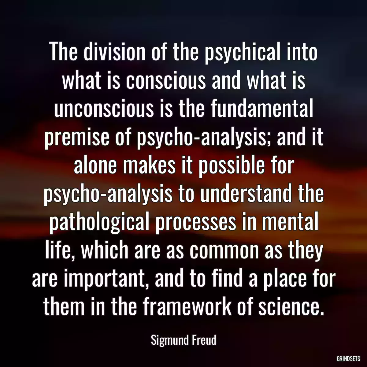 The division of the psychical into what is conscious and what is unconscious is the fundamental premise of psycho-analysis; and it alone makes it possible for psycho-analysis to understand the pathological processes in mental life, which are as common as they are important, and to find a place for them in the framework of science.