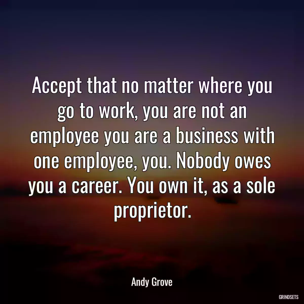 Accept that no matter where you go to work, you are not an employee you are a business with one employee, you. Nobody owes you a career. You own it, as a sole proprietor.