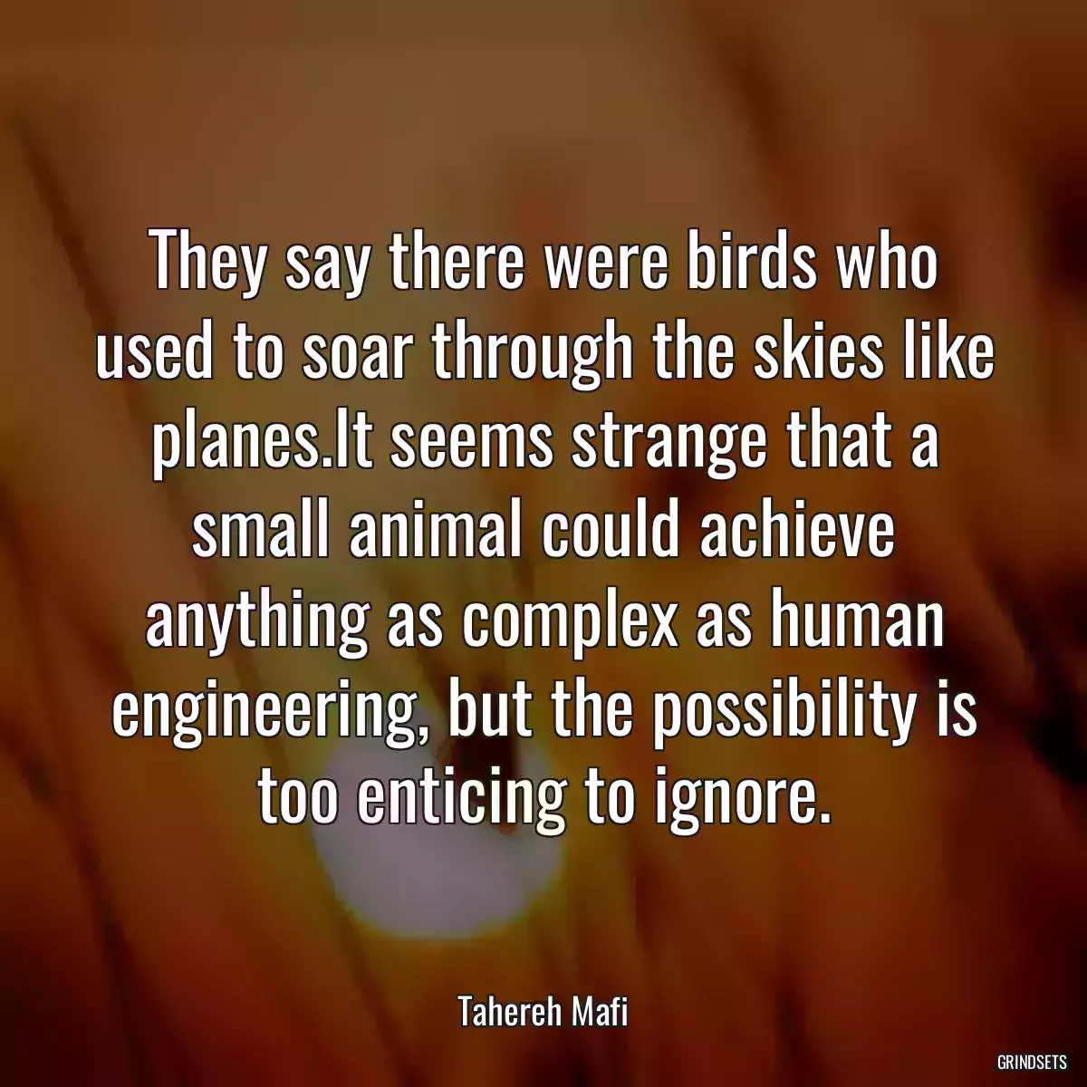 They say there were birds who used to soar through the skies like planes.It seems strange that a small animal could achieve anything as complex as human engineering, but the possibility is too enticing to ignore.