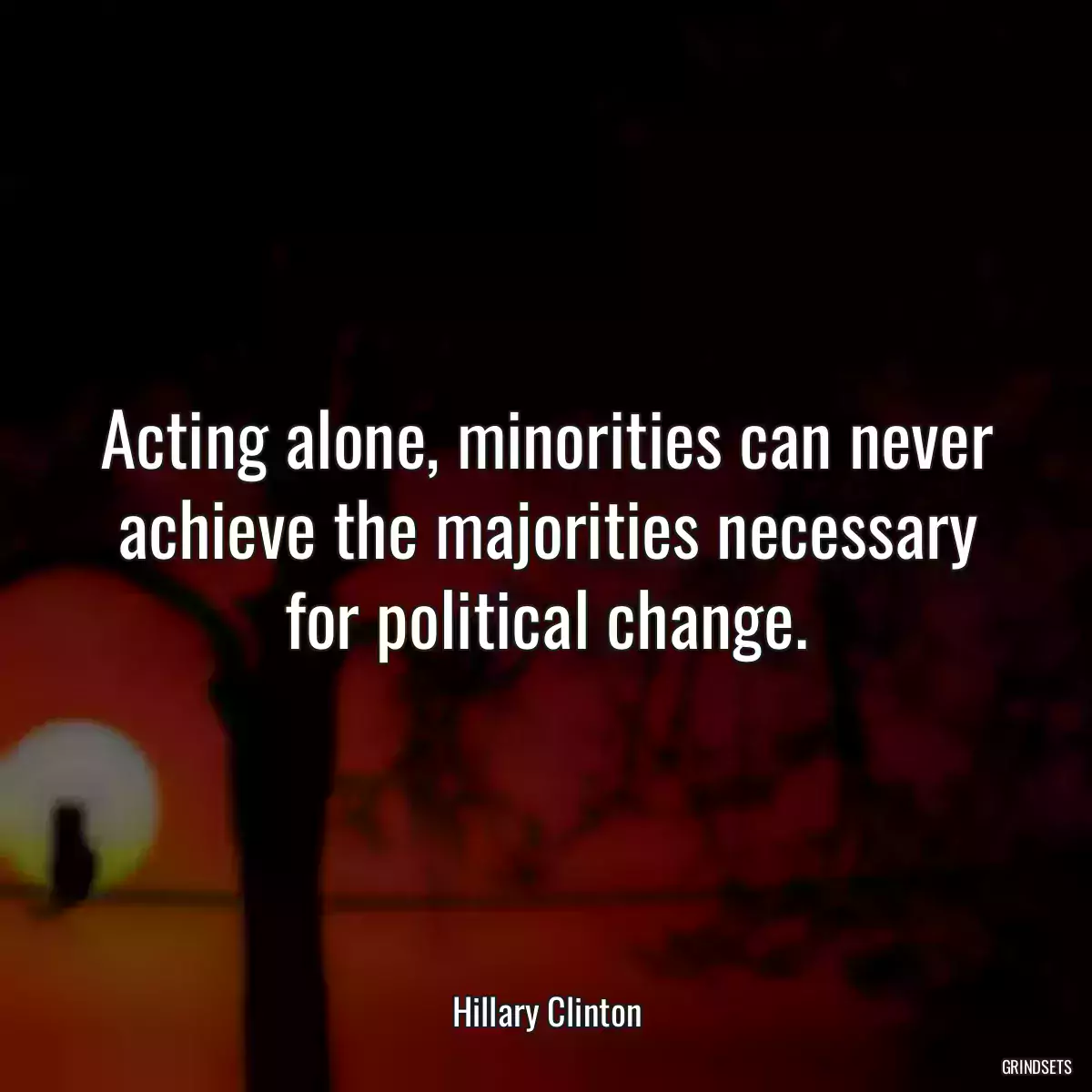 Acting alone, minorities can never achieve the majorities necessary for political change.