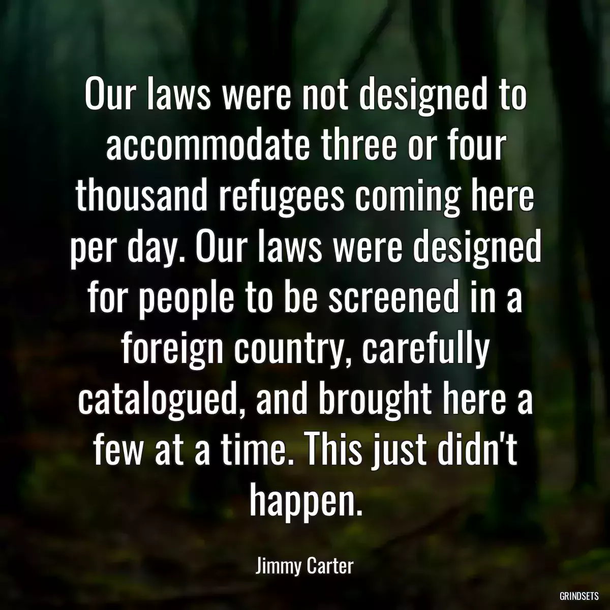 Our laws were not designed to accommodate three or four thousand refugees coming here per day. Our laws were designed for people to be screened in a foreign country, carefully catalogued, and brought here a few at a time. This just didn\'t happen.