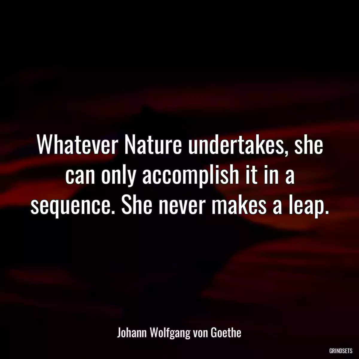 Whatever Nature undertakes, she can only accomplish it in a sequence. She never makes a leap.