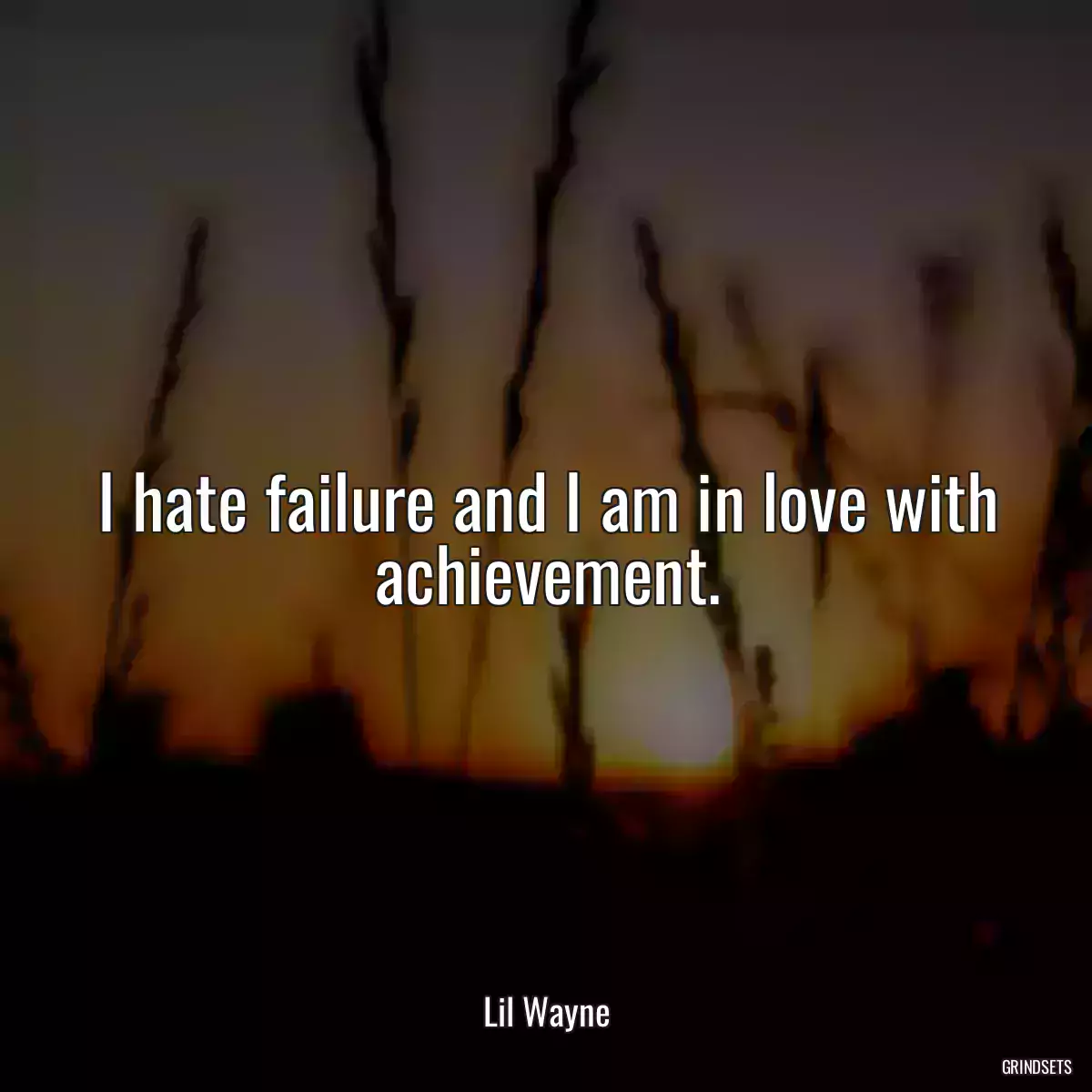 I hate failure and I am in love with achievement.