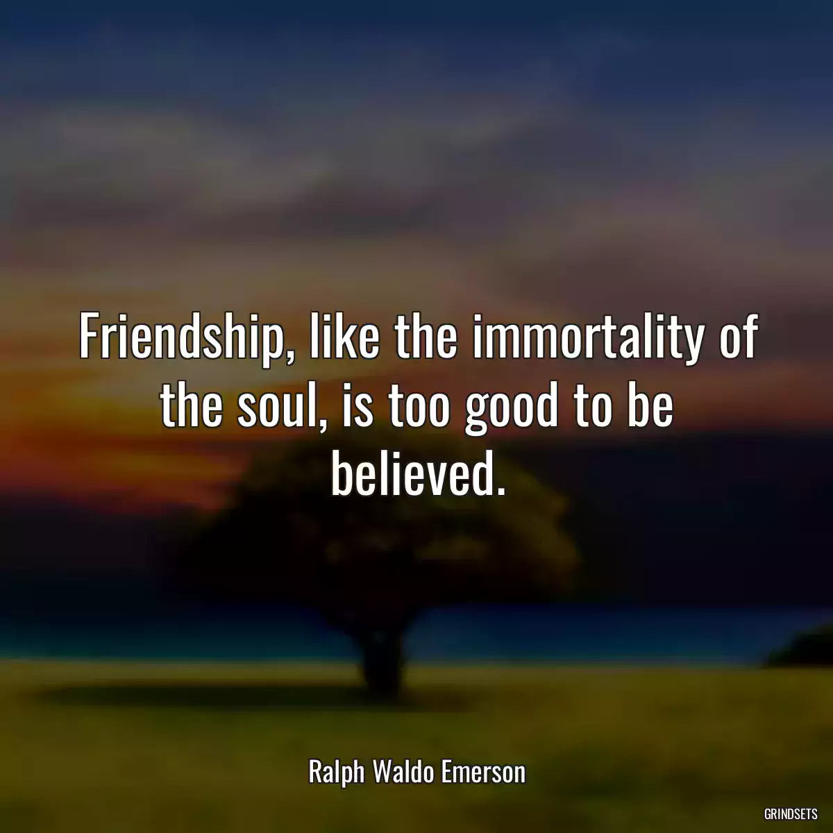Friendship, like the immortality of the soul, is too good to be believed.