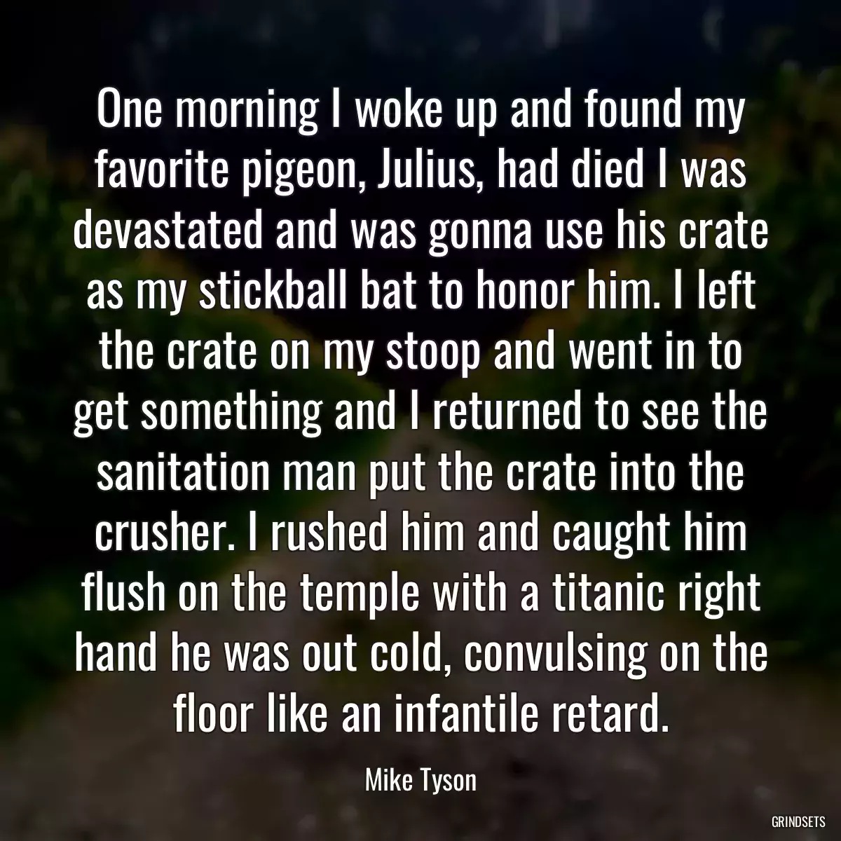 One morning I woke up and found my favorite pigeon, Julius, had died I was devastated and was gonna use his crate as my stickball bat to honor him. I left the crate on my stoop and went in to get something and I returned to see the sanitation man put the crate into the crusher. I rushed him and caught him flush on the temple with a titanic right hand he was out cold, convulsing on the floor like an infantile retard.