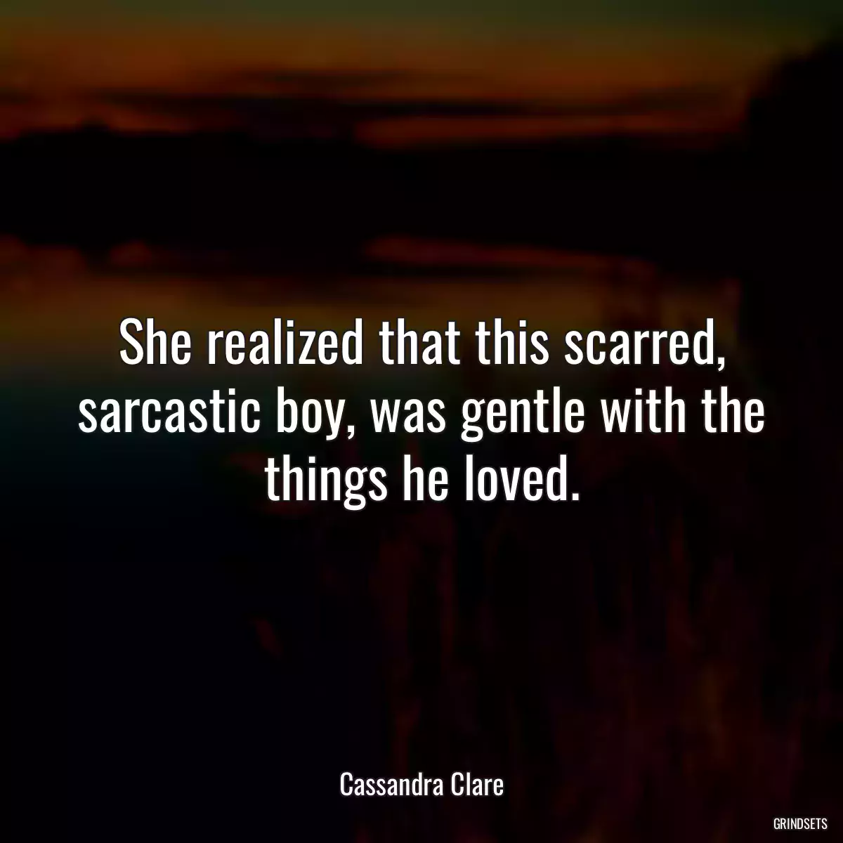 She realized that this scarred, sarcastic boy, was gentle with the things he loved.