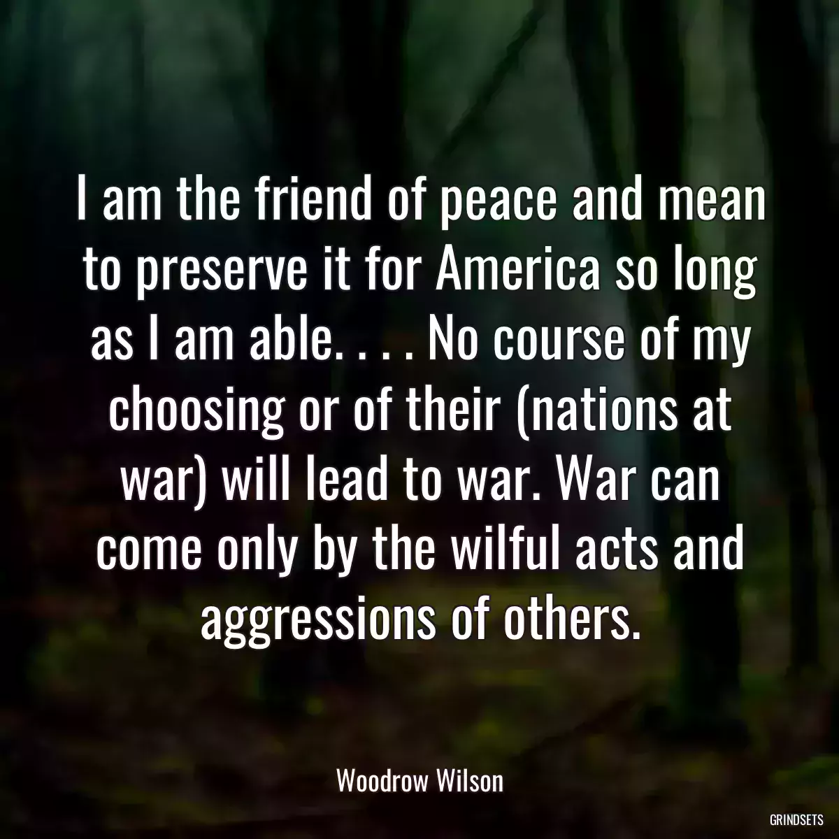 I am the friend of peace and mean to preserve it for America so long as I am able. . . . No course of my choosing or of their (nations at war) will lead to war. War can come only by the wilful acts and aggressions of others.