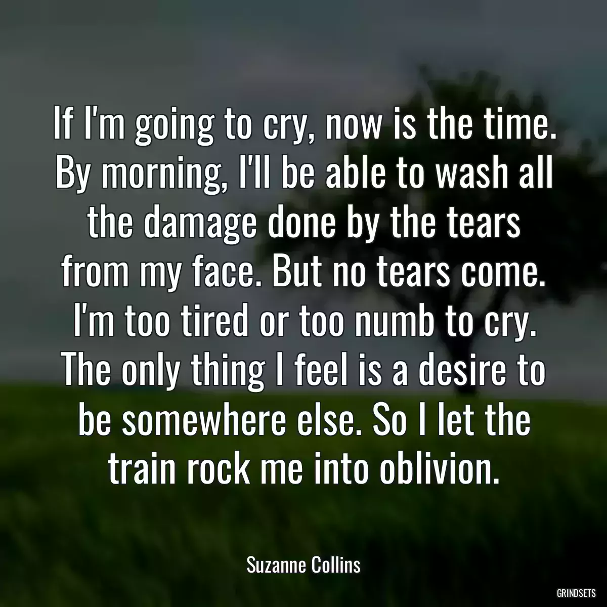 If I\'m going to cry, now is the time. By morning, I\'ll be able to wash all the damage done by the tears from my face. But no tears come. I\'m too tired or too numb to cry. The only thing I feel is a desire to be somewhere else. So I let the train rock me into oblivion.