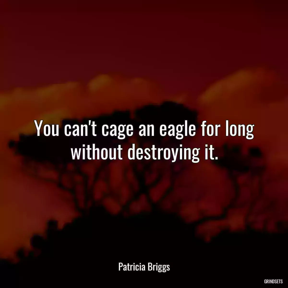 You can\'t cage an eagle for long without destroying it.