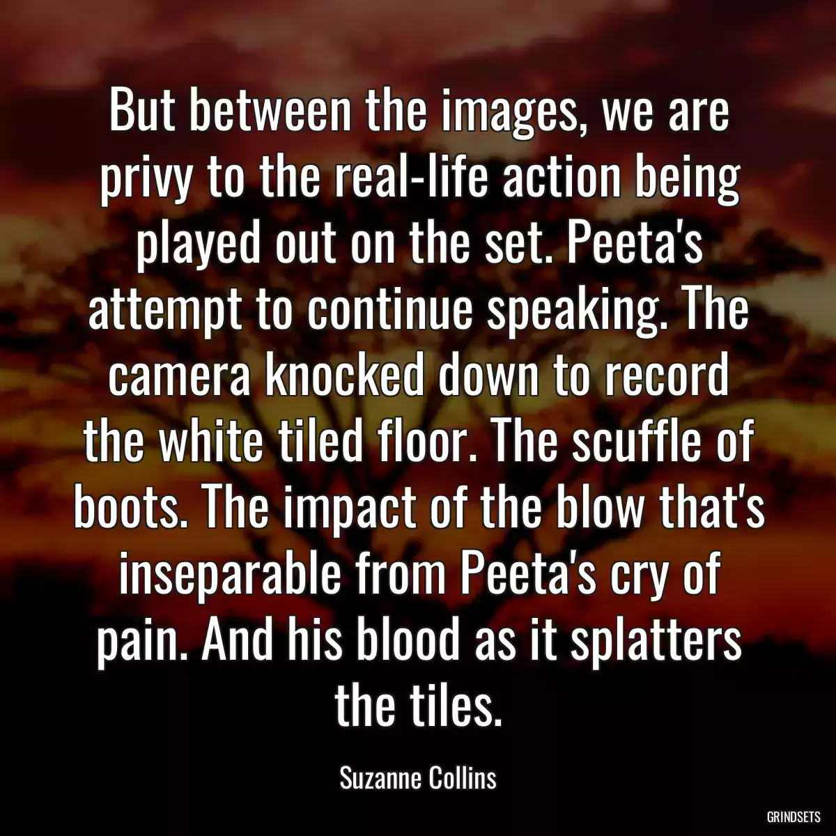 But between the images, we are privy to the real-life action being played out on the set. Peeta\'s attempt to continue speaking. The camera knocked down to record the white tiled floor. The scuffle of boots. The impact of the blow that\'s inseparable from Peeta\'s cry of pain. And his blood as it splatters the tiles.