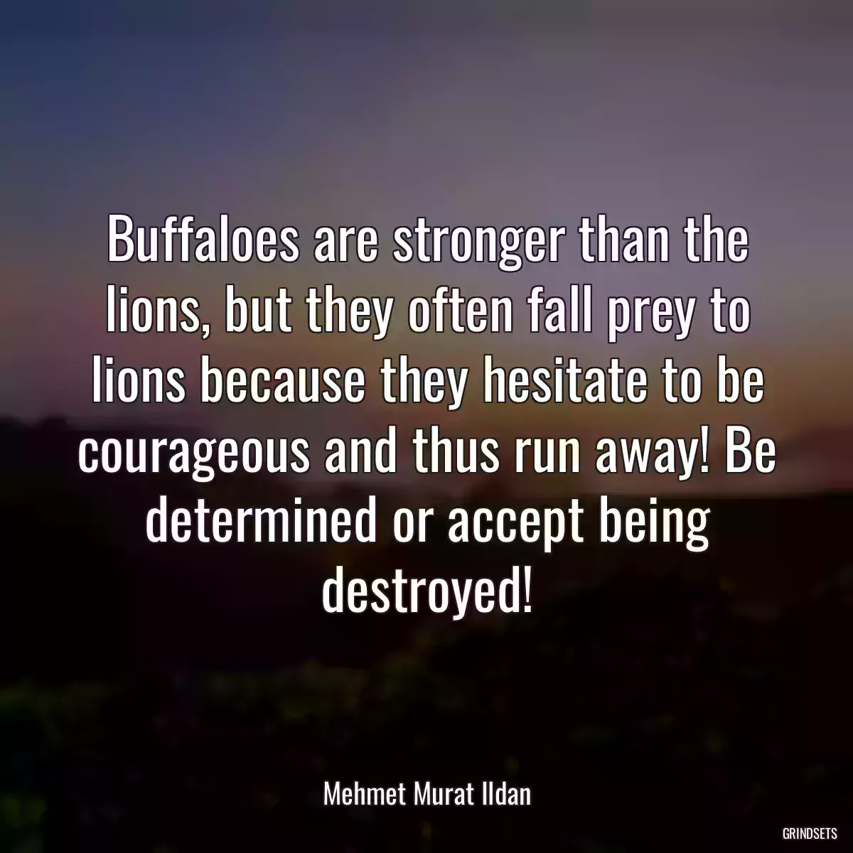 Buffaloes are stronger than the lions, but they often fall prey to lions because they hesitate to be courageous and thus run away! Be determined or accept being destroyed!