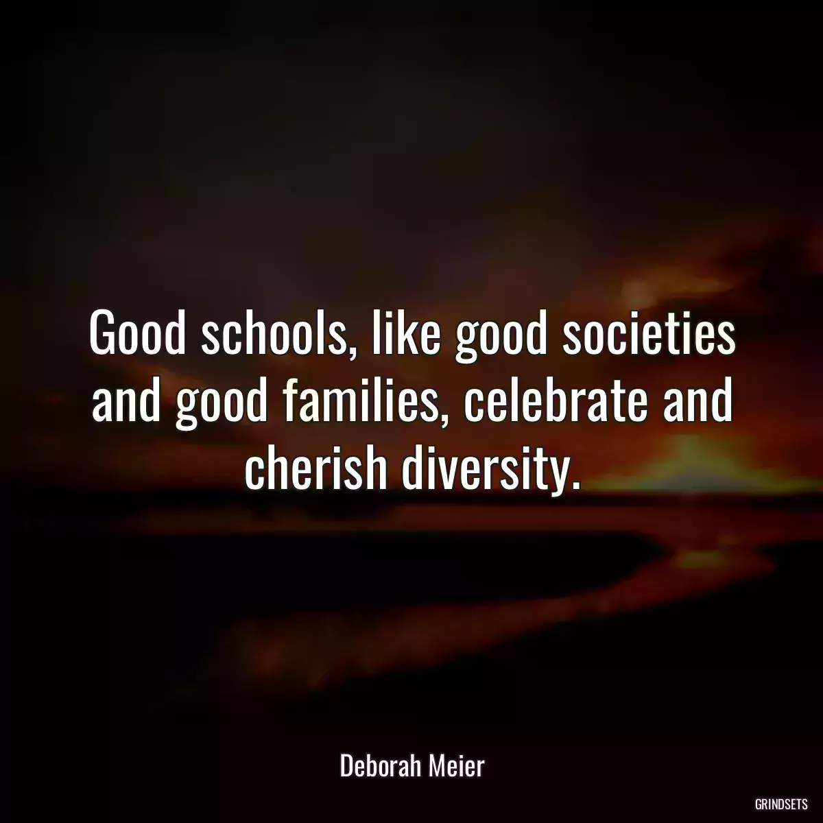 Good schools, like good societies and good families, celebrate and cherish diversity.