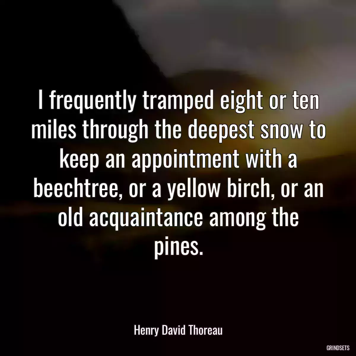 I frequently tramped eight or ten miles through the deepest snow to keep an appointment with a beechtree, or a yellow birch, or an old acquaintance among the pines.