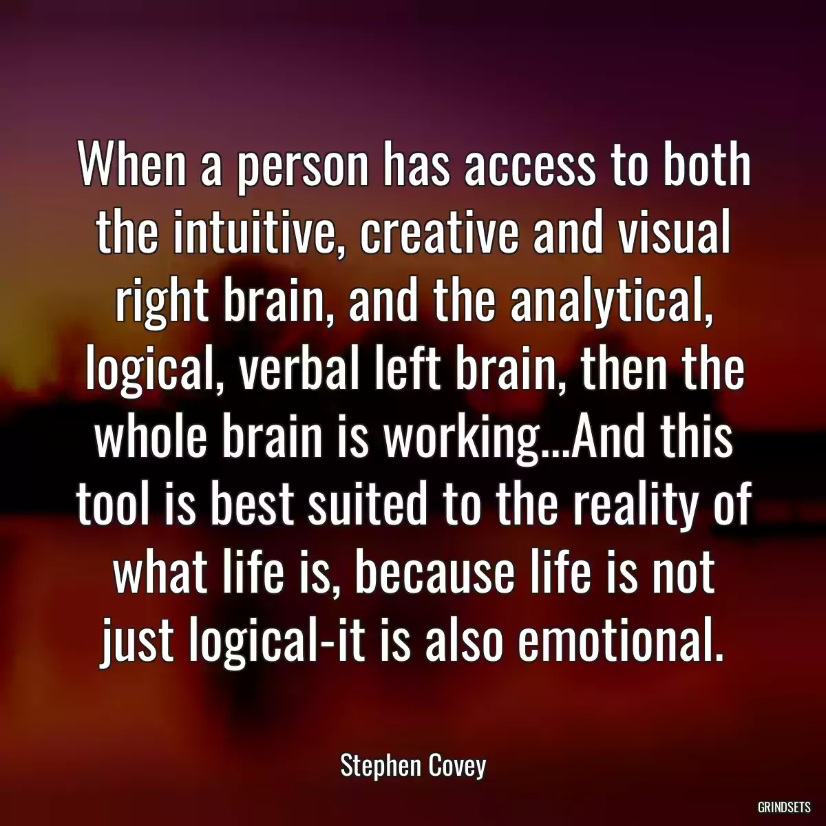 When a person has access to both the intuitive, creative and visual right brain, and the analytical, logical, verbal left brain, then the whole brain is working...And this tool is best suited to the reality of what life is, because life is not just logical-it is also emotional.