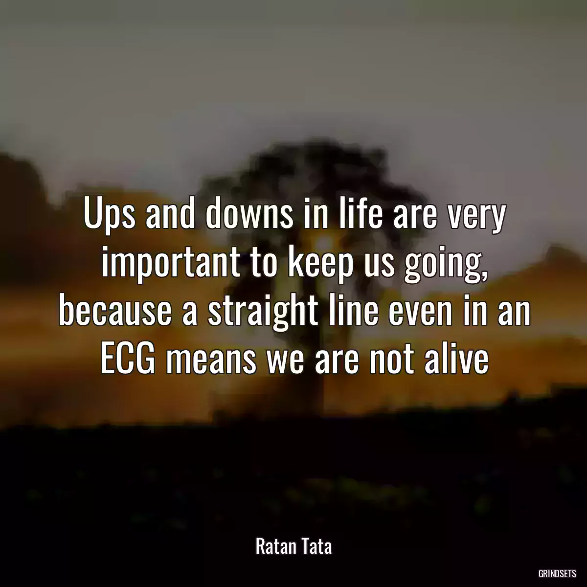 Ups and downs in life are very important to keep us going, because a straight line even in an ECG means we are not alive