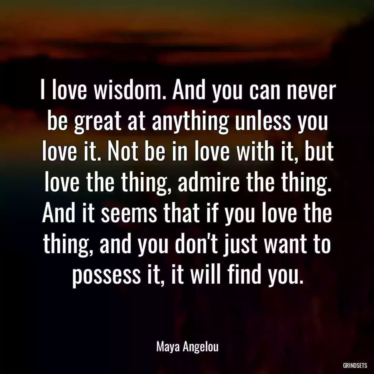 I love wisdom. And you can never be great at anything unless you love it. Not be in love with it, but love the thing, admire the thing. And it seems that if you love the thing, and you don\'t just want to possess it, it will find you.