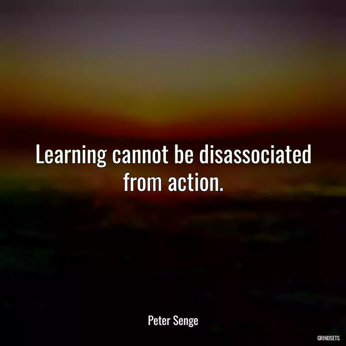 Learning cannot be disassociated from action.