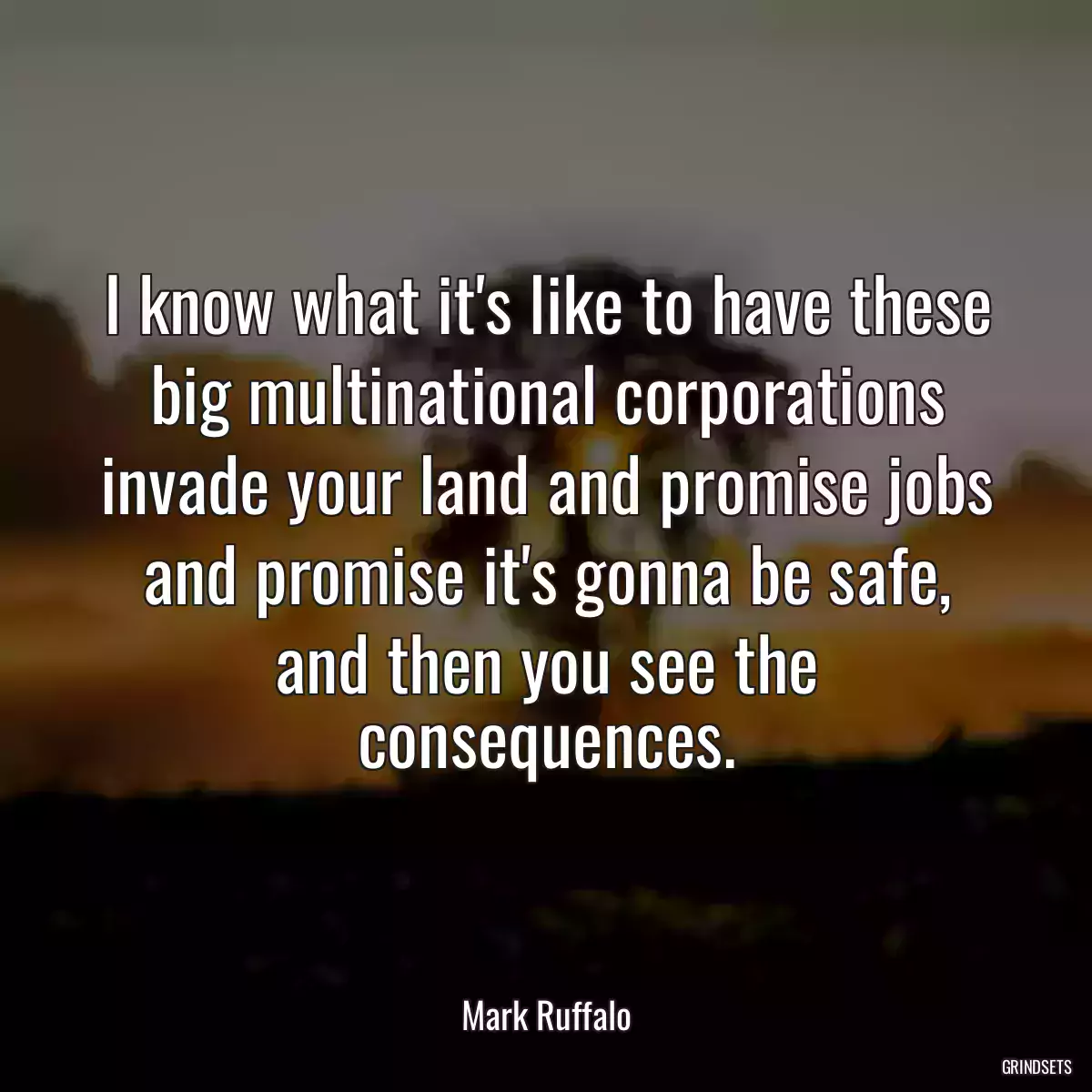 I know what it\'s like to have these big multinational corporations invade your land and promise jobs and promise it\'s gonna be safe, and then you see the consequences.