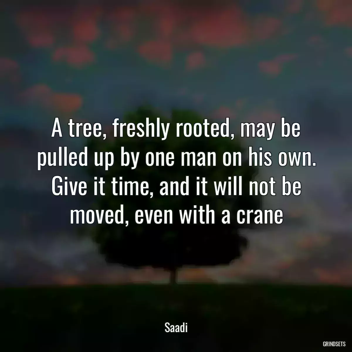 A tree, freshly rooted, may be pulled up by one man on his own. Give it time, and it will not be moved, even with a crane