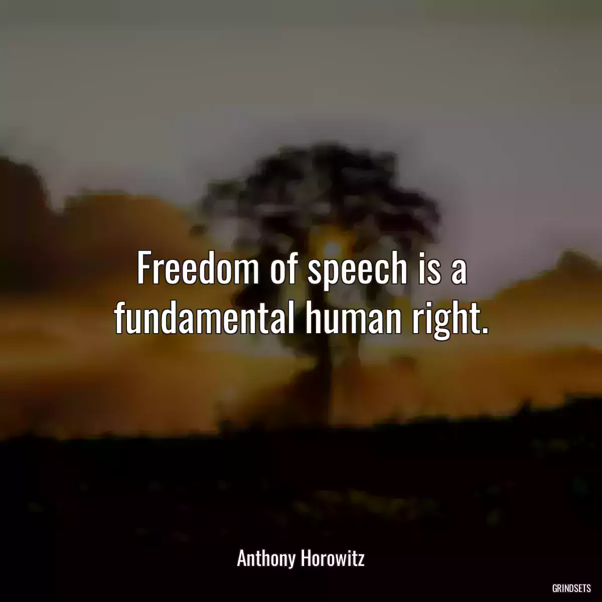 Freedom of speech is a fundamental human right.