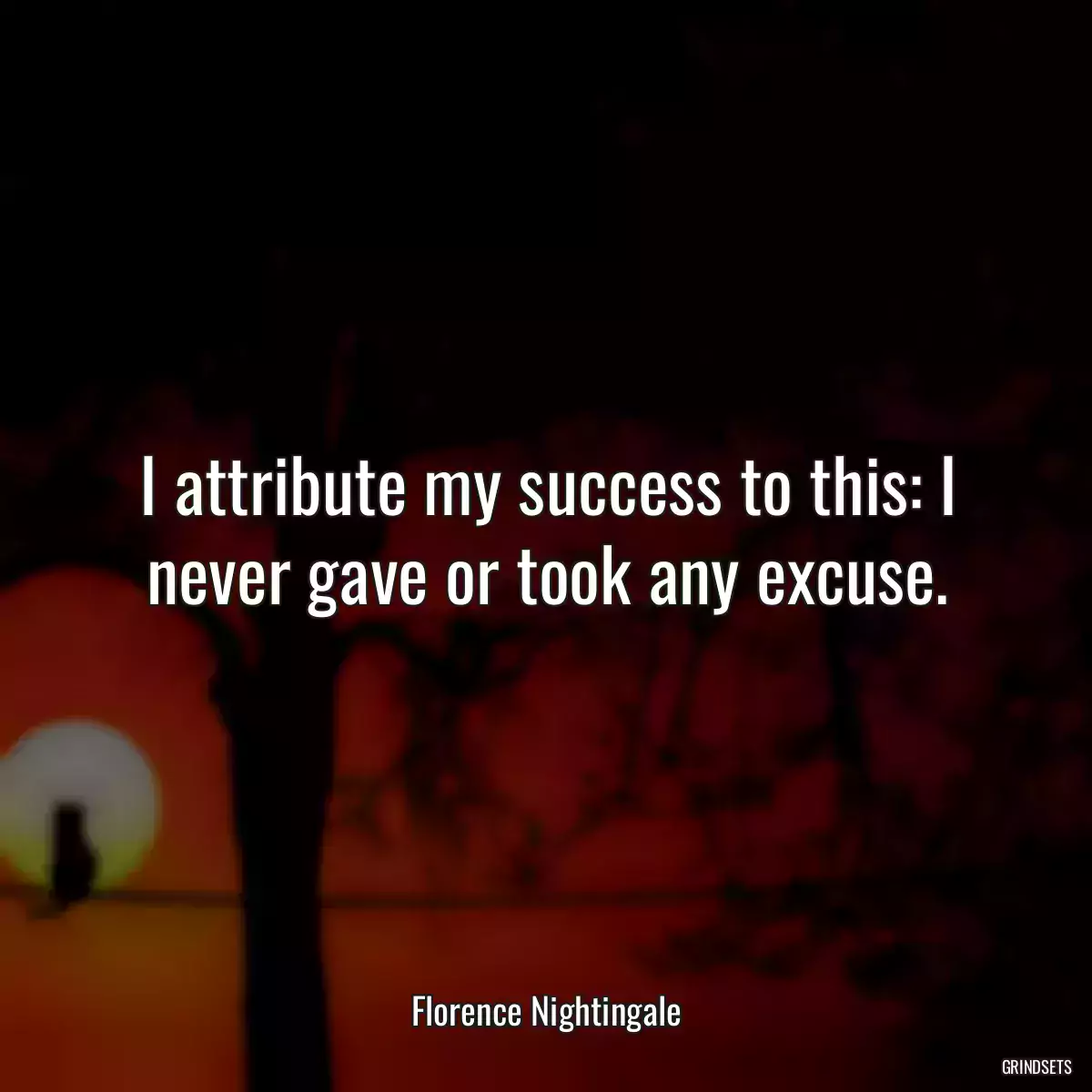 I attribute my success to this: I never gave or took any excuse.