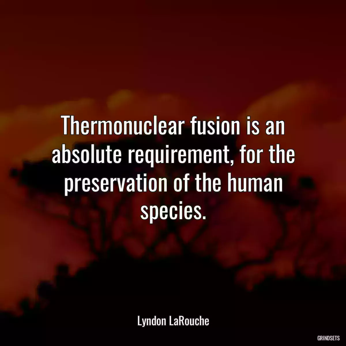 Thermonuclear fusion is an absolute requirement, for the preservation of the human species.