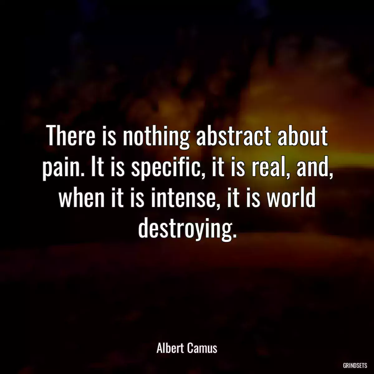 There is nothing abstract about pain. It is specific, it is real, and, when it is intense, it is world destroying.