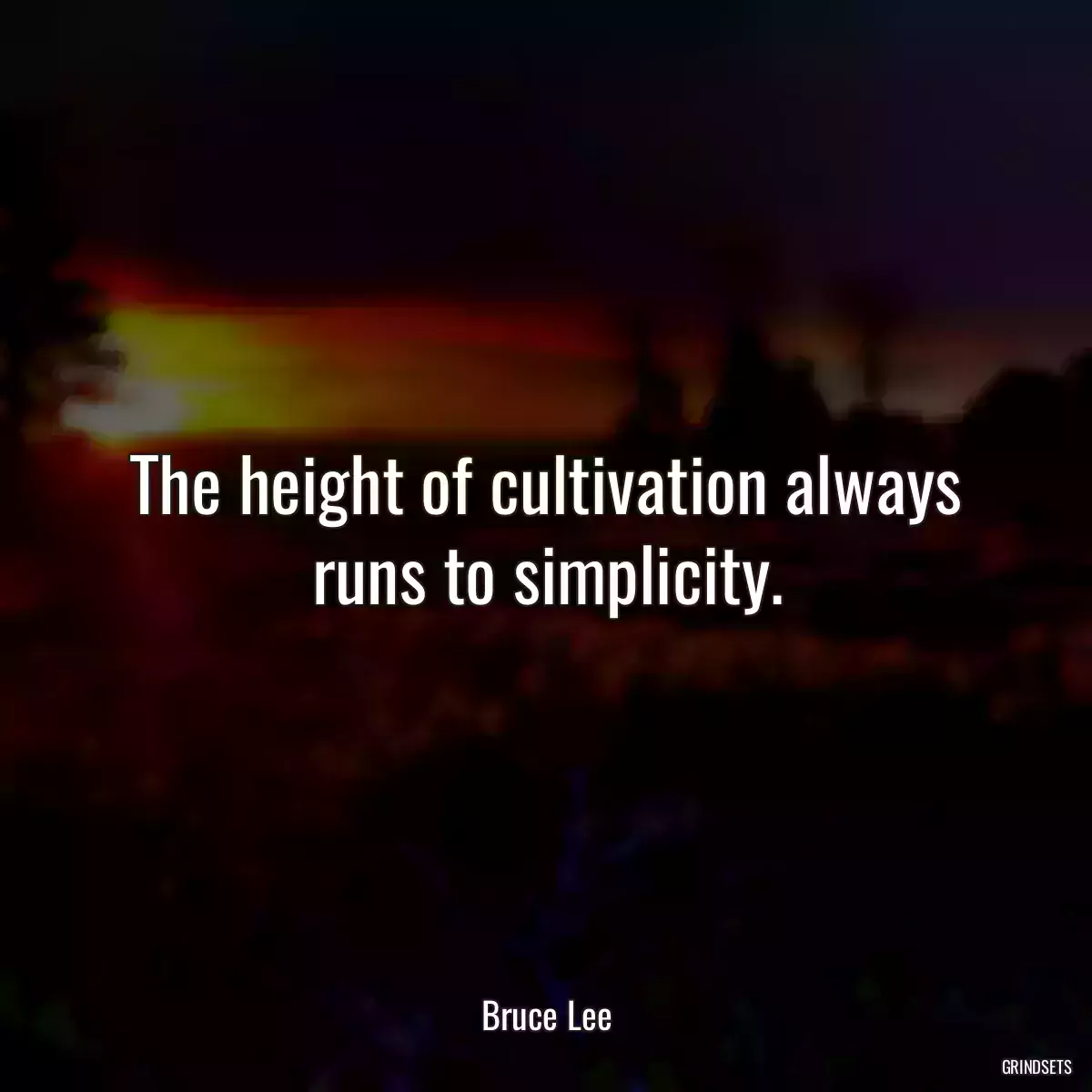 The height of cultivation always runs to simplicity.