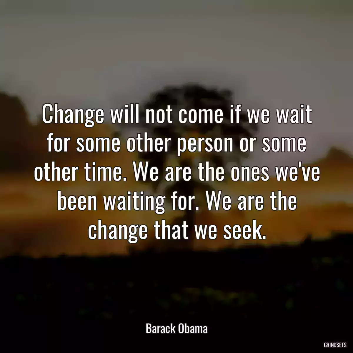 Change will not come if we wait for some other person or some other time. We are the ones we\'ve been waiting for. We are the change that we seek.