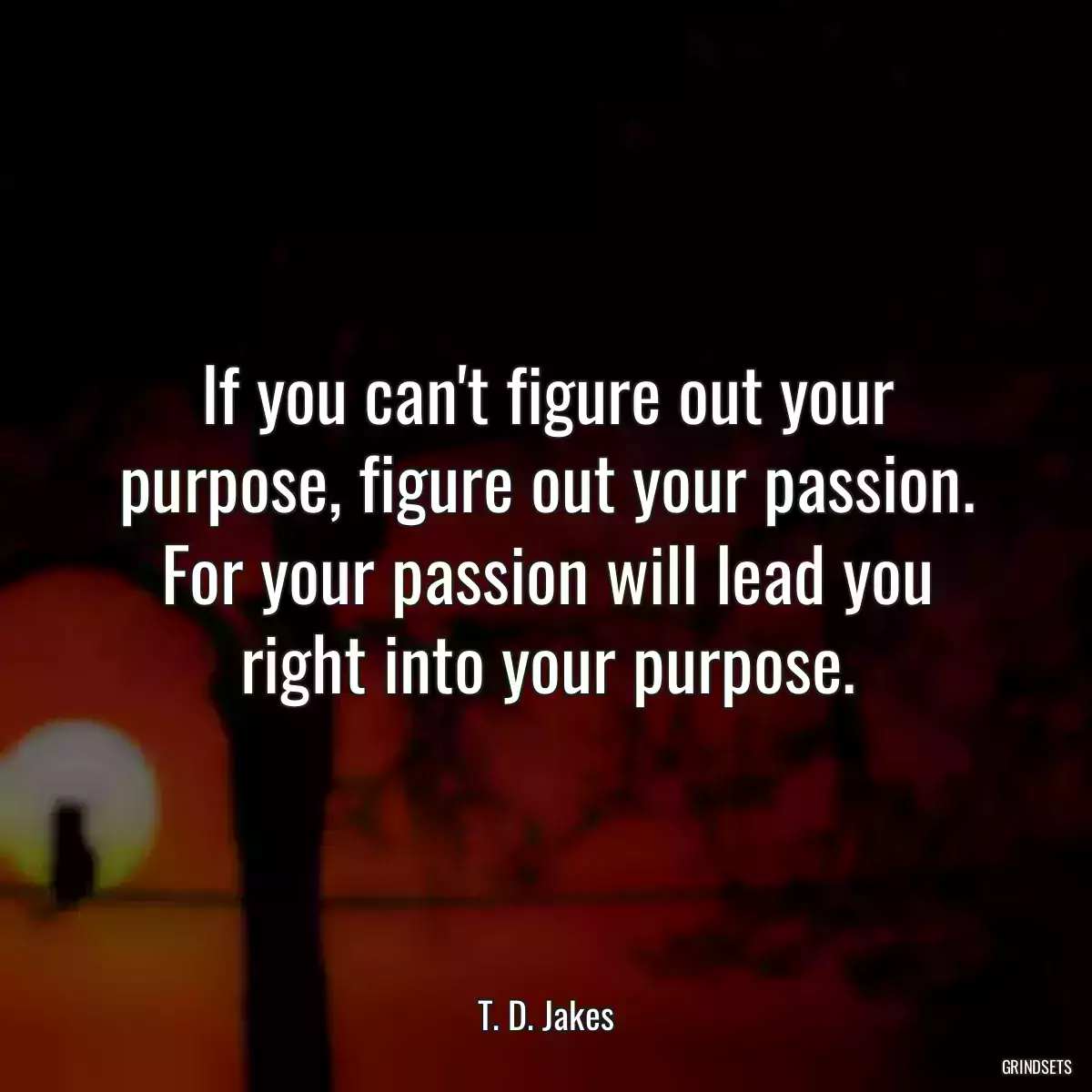 If you can\'t figure out your purpose, figure out your passion. For your passion will lead you right into your purpose.