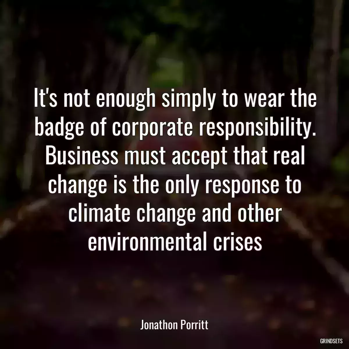 It\'s not enough simply to wear the badge of corporate responsibility. Business must accept that real change is the only response to climate change and other environmental crises