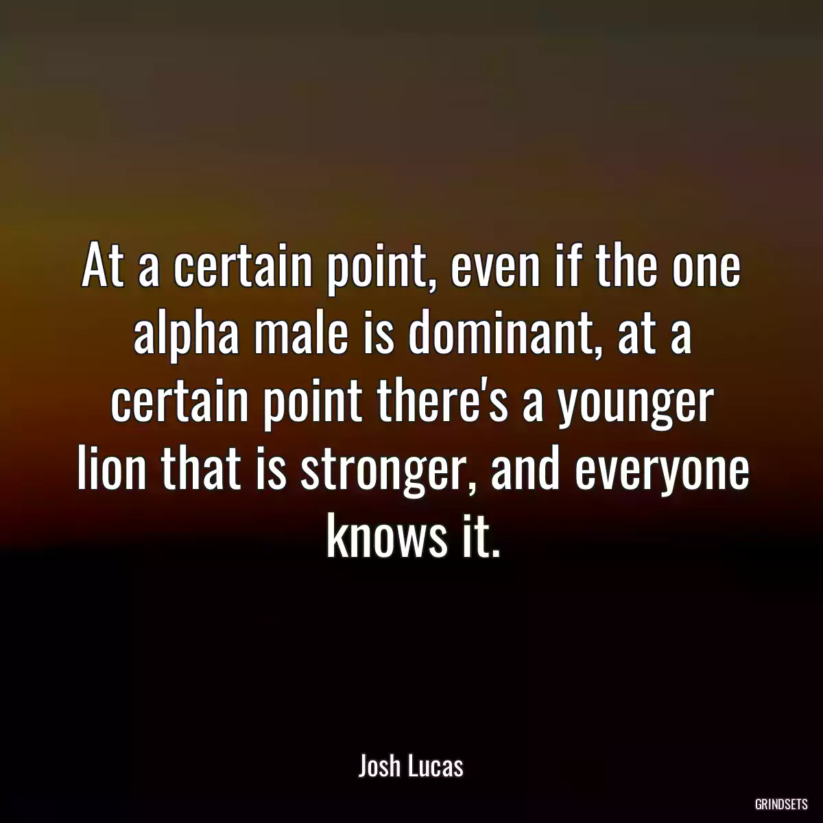 At a certain point, even if the one alpha male is dominant, at a certain point there\'s a younger lion that is stronger, and everyone knows it.