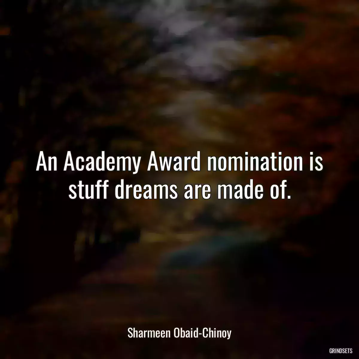 An Academy Award nomination is stuff dreams are made of.