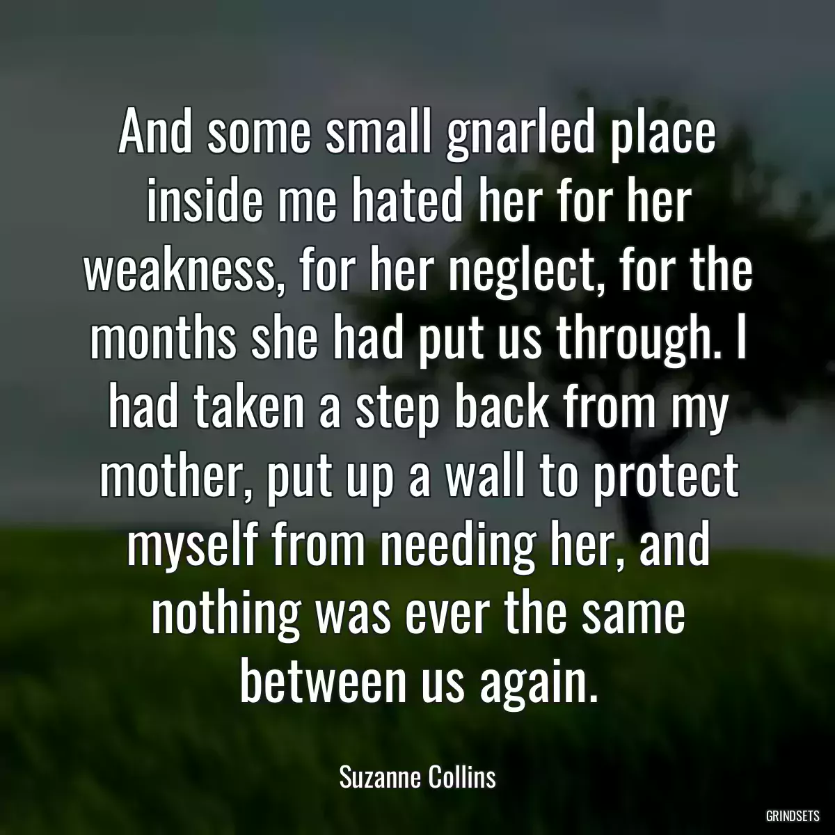 And some small gnarled place inside me hated her for her weakness, for her neglect, for the months she had put us through. I had taken a step back from my mother, put up a wall to protect myself from needing her, and nothing was ever the same between us again.