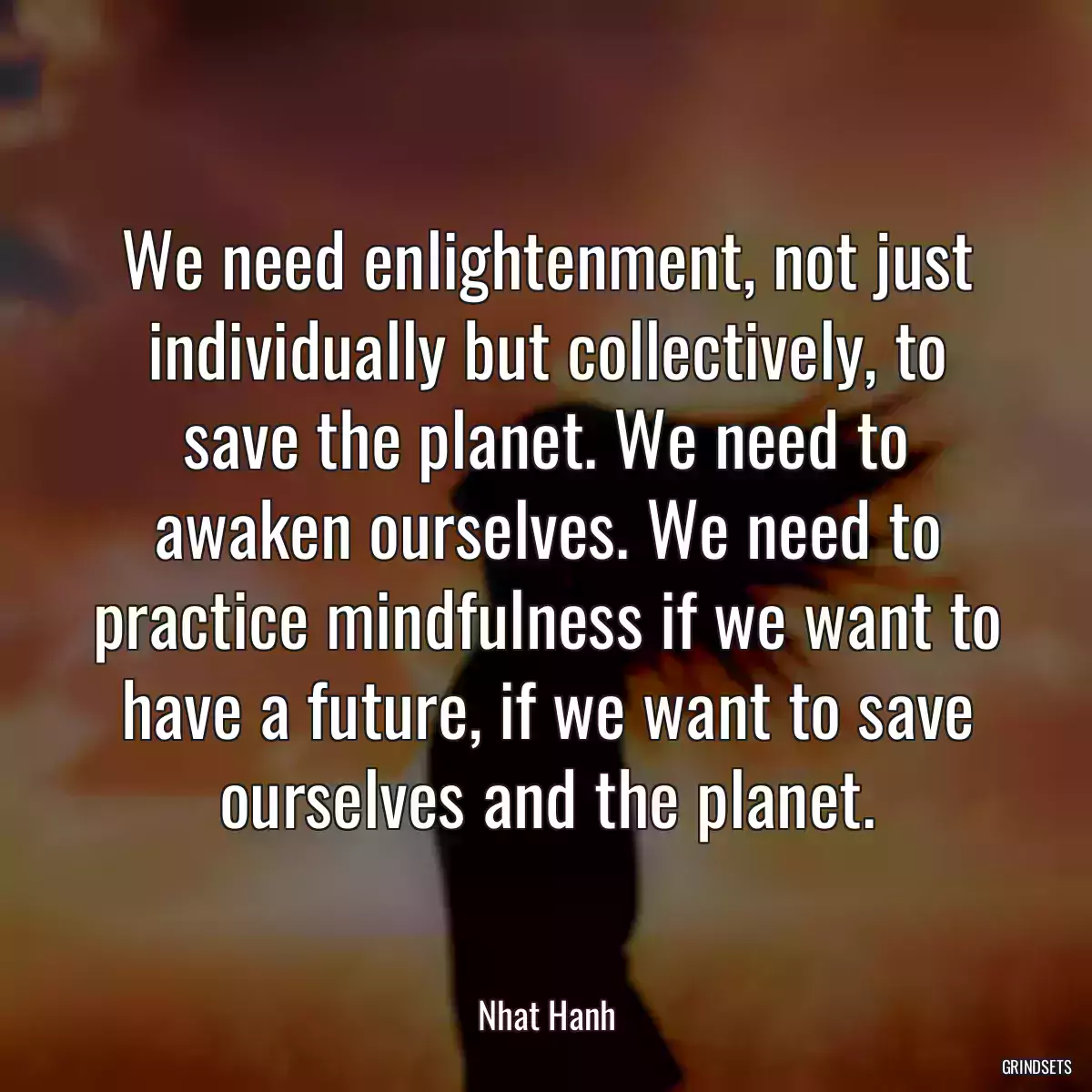 We need enlightenment, not just individually but collectively, to save the planet. We need to awaken ourselves. We need to practice mindfulness if we want to have a future, if we want to save ourselves and the planet.