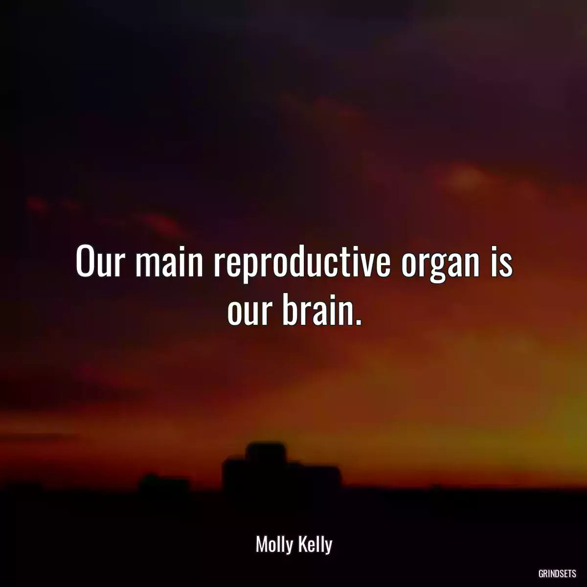 Our main reproductive organ is our brain.