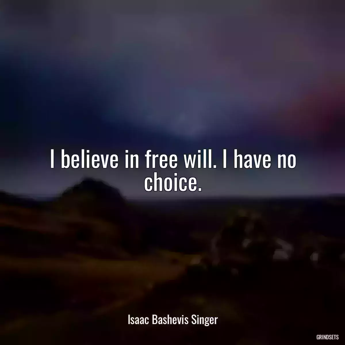 I believe in free will. I have no choice.