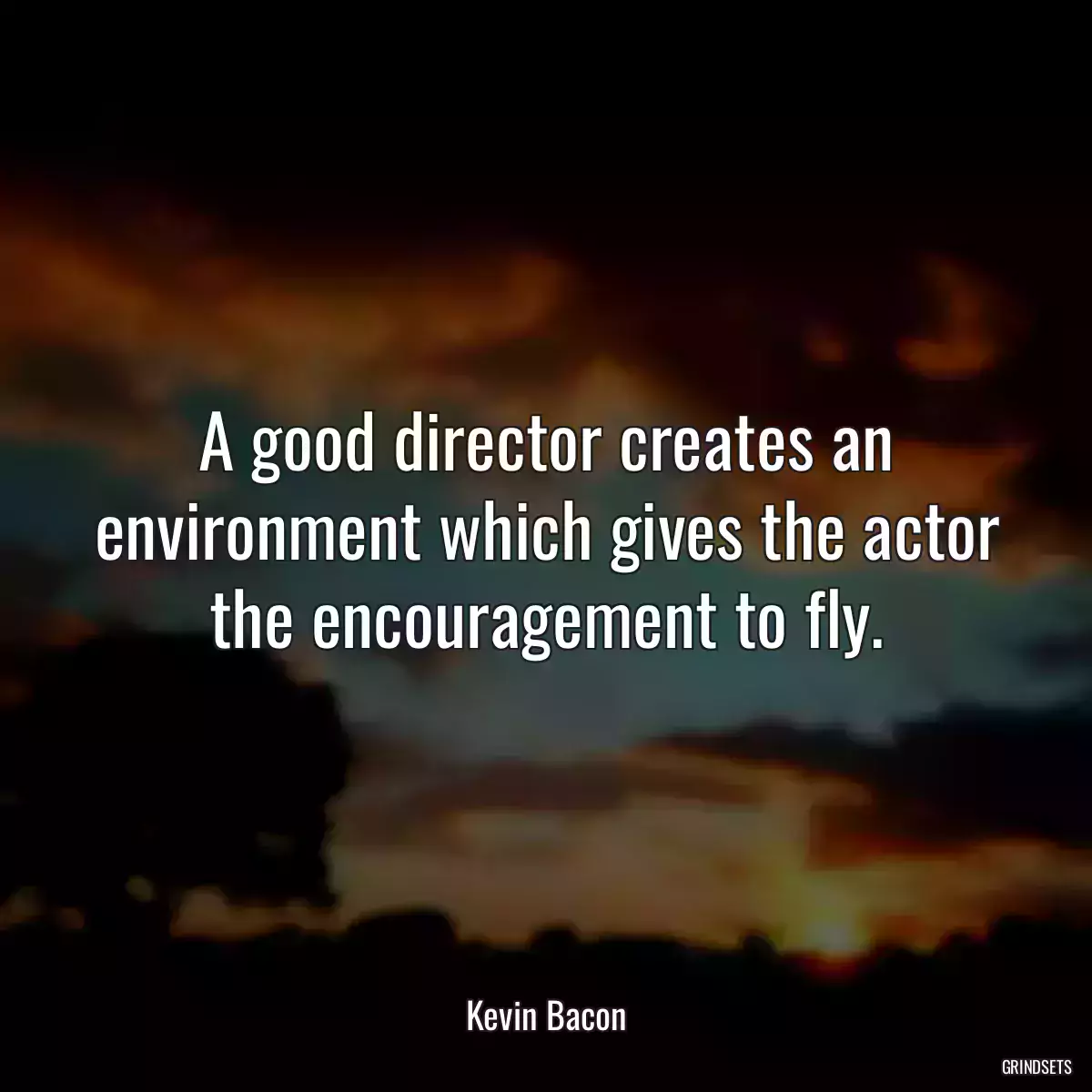 A good director creates an environment which gives the actor the encouragement to fly.