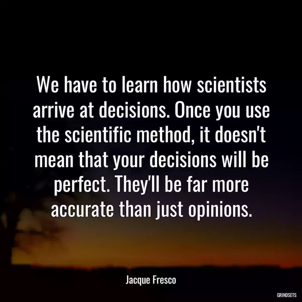 We have to learn how scientists arrive at decisions. Once you use the scientific method, it doesn\'t mean that your decisions will be perfect. They\'ll be far more accurate than just opinions.