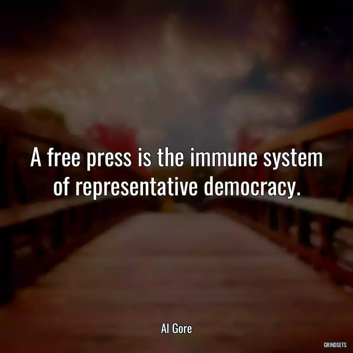 A free press is the immune system of representative democracy.