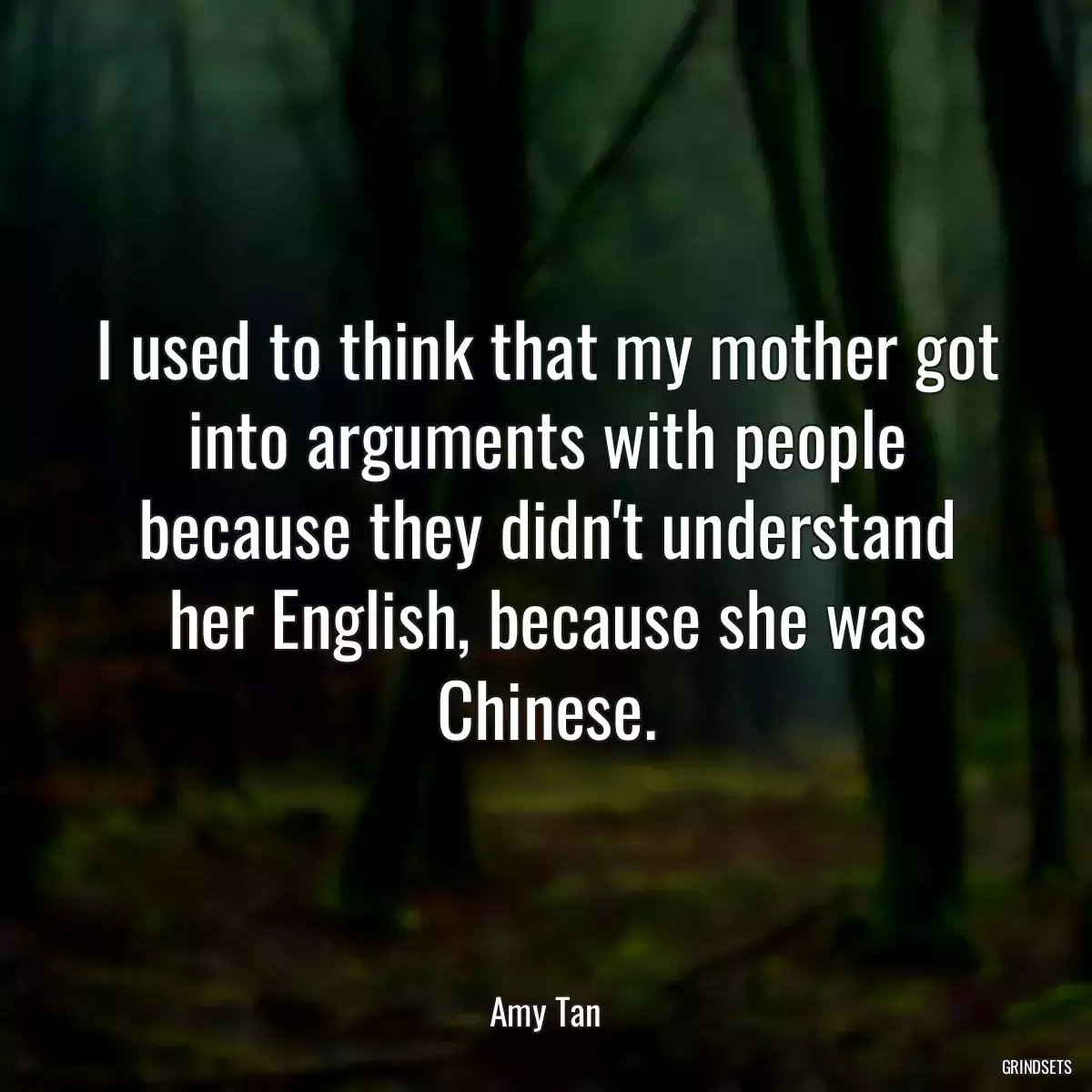 I used to think that my mother got into arguments with people because they didn\'t understand her English, because she was Chinese.