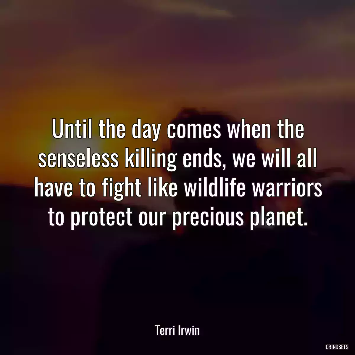 Until the day comes when the senseless killing ends, we will all have to fight like wildlife warriors to protect our precious planet.