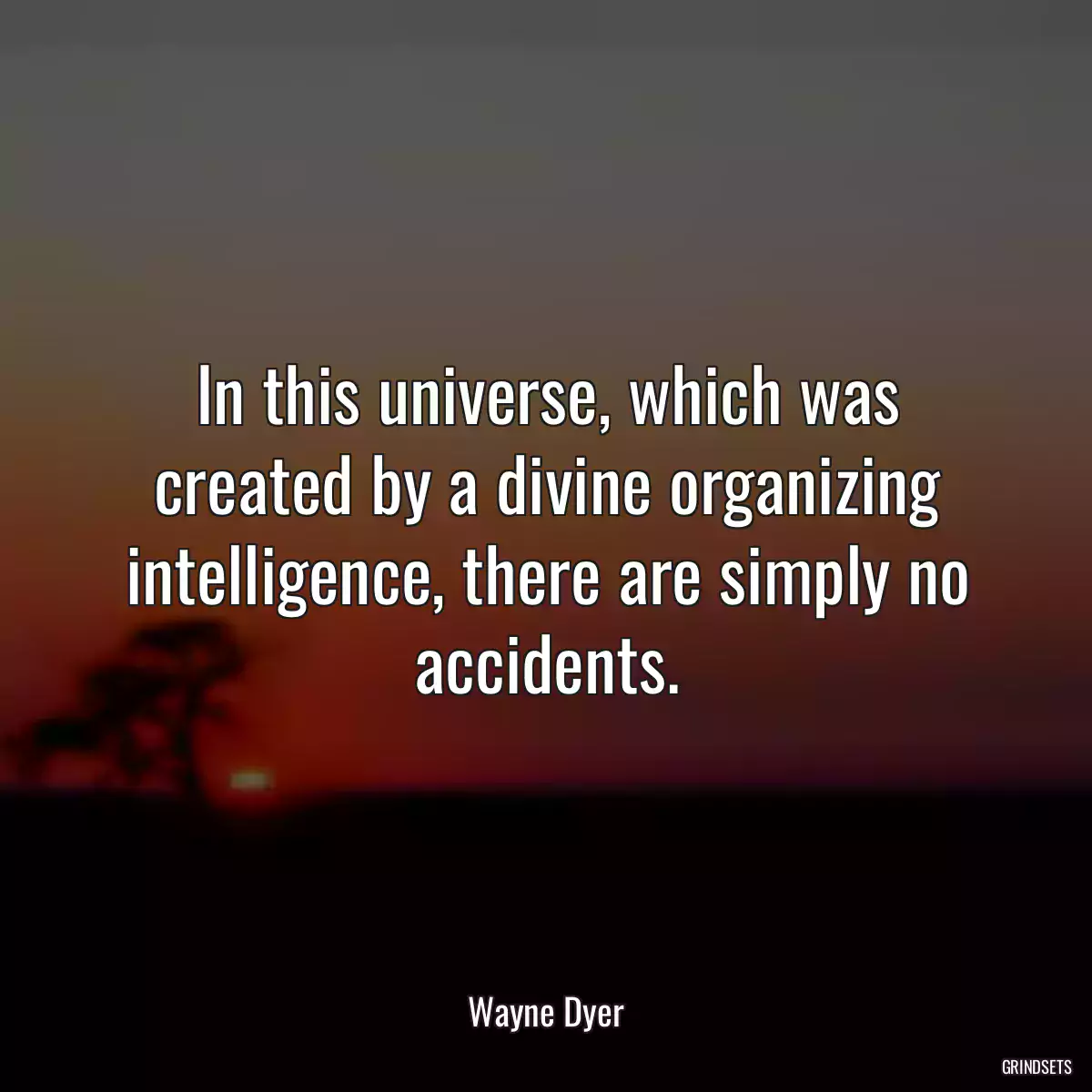 In this universe, which was created by a divine organizing intelligence, there are simply no accidents.