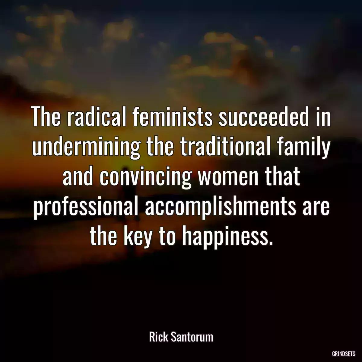 The radical feminists succeeded in undermining the traditional family and convincing women that professional accomplishments are the key to happiness.