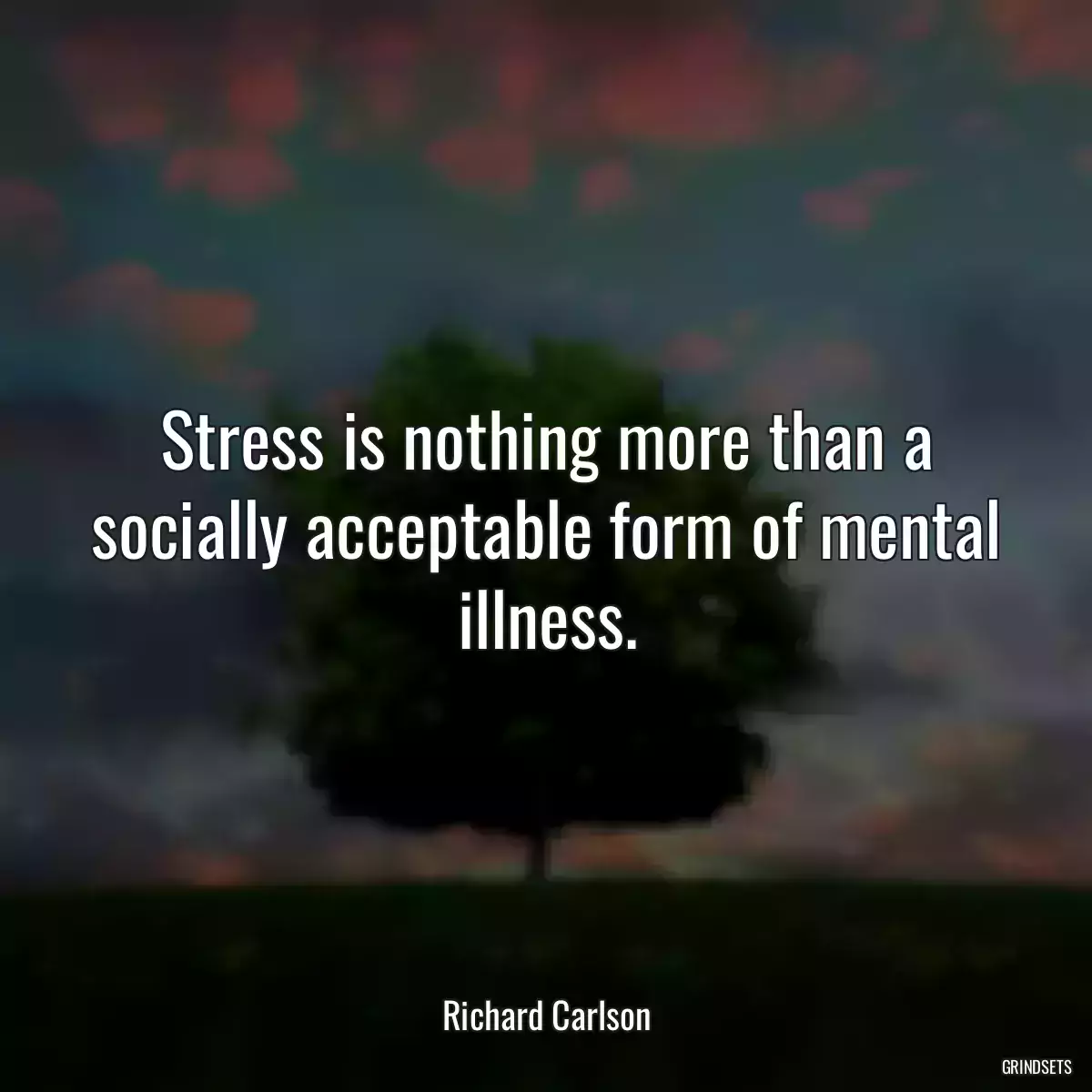 Stress is nothing more than a socially acceptable form of mental illness.