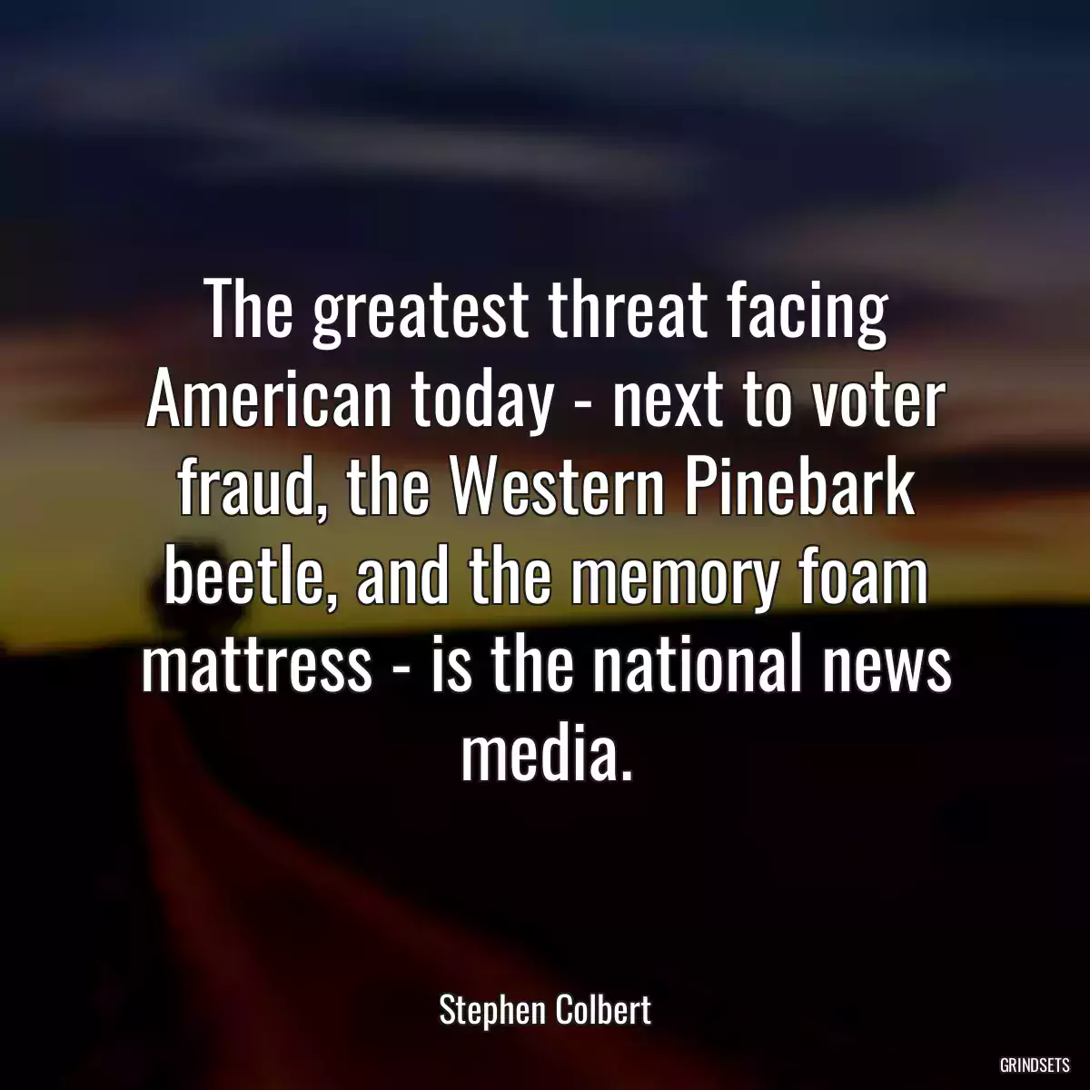 The greatest threat facing American today - next to voter fraud, the Western Pinebark beetle, and the memory foam mattress - is the national news media.